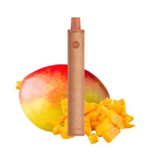 Dotmod VAPE PEN JETABLE MANGO DOT E-SERIES