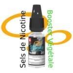 Booster Sels de Nicotine Végétol1