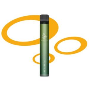 Elfbar Elfa Kit Pro 2ml 20mg - Aurora Green