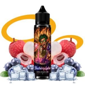 Elfk Blueberry Lychee Frais - Elfuk Starts Here